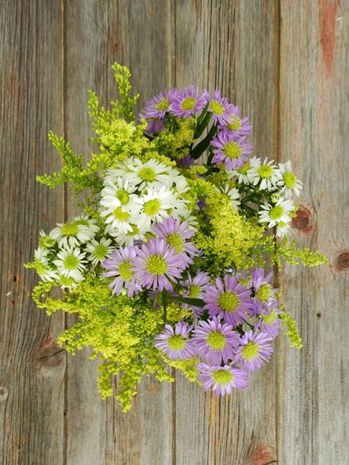 EVEN MIX OF PURPLE, SOLIDAGO & WHITE  ASSORTED ASTER
